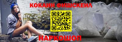 крисы Кулебаки