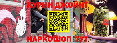 крисы Кулебаки