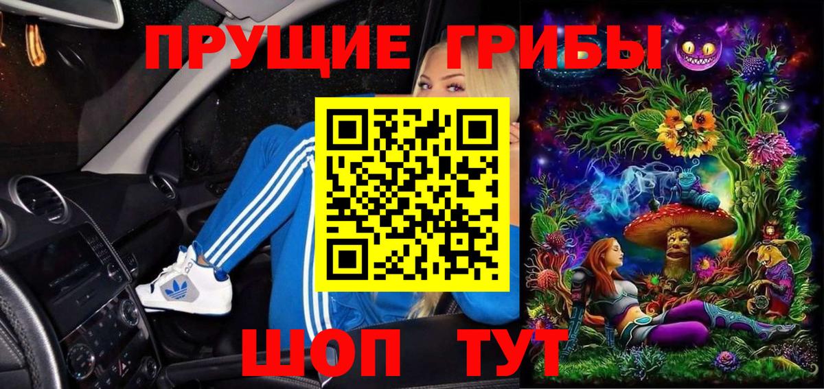 Псилоцибиновые грибы Psilocybine cubensis Димитровград