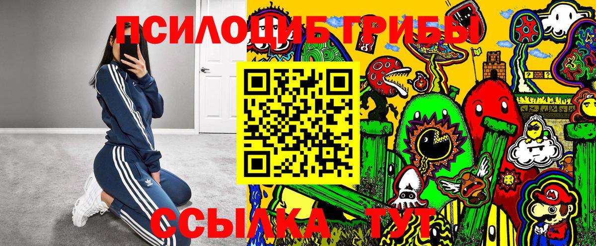 цены наркотик  Галлюциногенные грибы ЛСД  Вход с VPN  Галлюциногенные грибы прущие грибы  Димитровград 